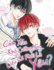 Cảm Xúc Khó Cưỡng Này Liệu Có Phải Là Yêu?